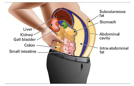 Be Healthy, Be Happy #&nbsp;27