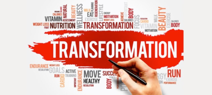 Primal Transformation Coaching